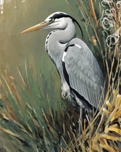 Grey Heron Art paint by number