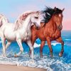 Horses On The Beach paint by number