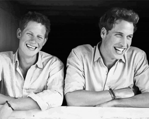 Monochrome Young Prince William And Harry Paint by number