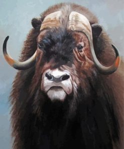 Muskox Animal paint by number