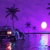 Palm Trees With Car At Night paint by number