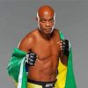 The Boxer Anderson Silva paint by number