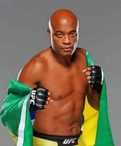 The Boxer Anderson Silva paint by number