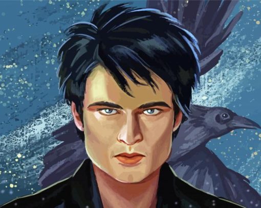 The Sandman Art paint by number