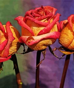 Three Red And Yellow Roses paint by number
