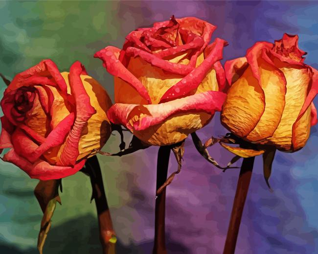 Three Red And Yellow Roses paint by number