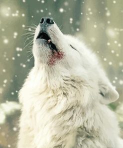 White Winter Wolf paint by number