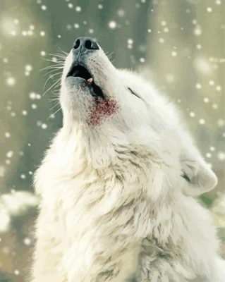 White Winter Wolf paint by number