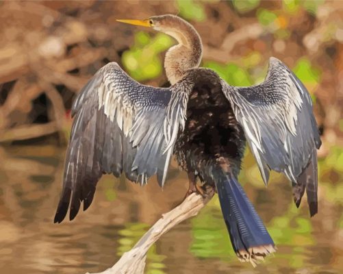 Aesthetic Anhinga paint by number