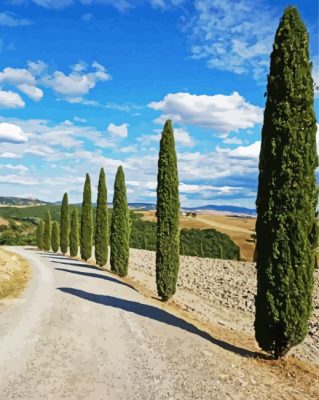 Cypress Trees Road paint by number