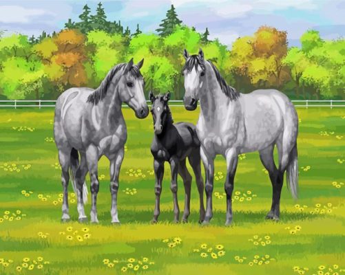 Farm Ranch And Horses paint by number