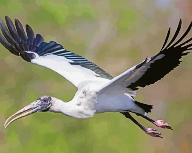 Flying Wood Stork paint by number