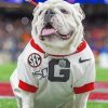 Georgia Bulldogs paint by number