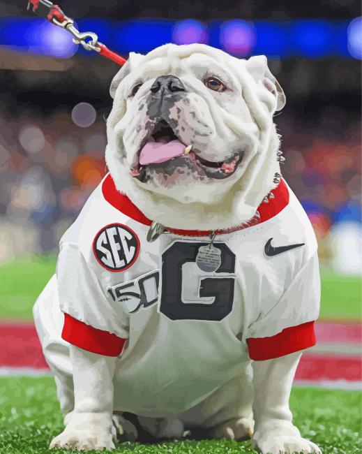 Georgia Bulldogs paint by number