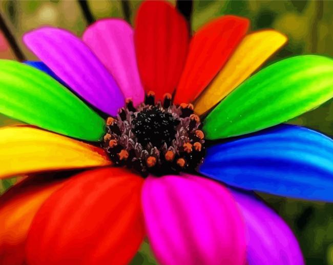 Rainbow Colorful Daisy paint by number