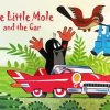 The Little Mole And The Car paint by number