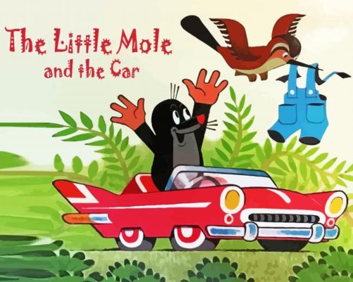 The Little Mole And The Car paint by number