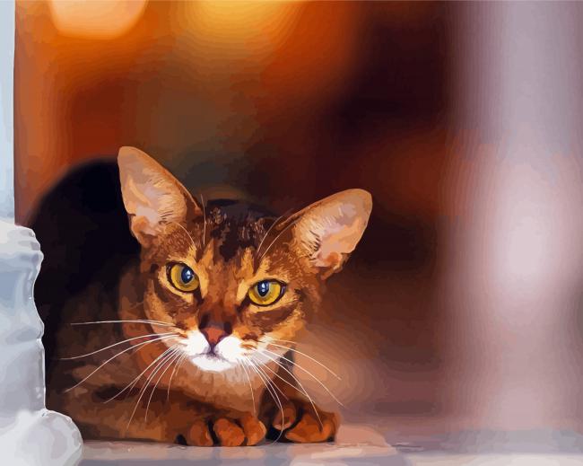 Cute Little Abyssinian Paint by number
