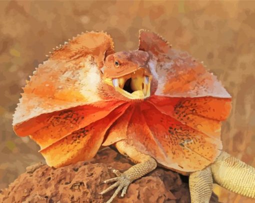 Frilled Dragon paint by number