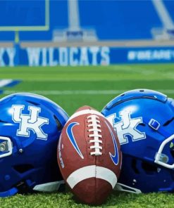 Kentucky Wildcats paint by number