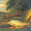 The Bream Fish Art paint by number