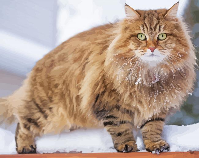 Aesthetic Siberian Cat paint by number