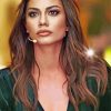 The Beautiful Actress Demet Ozdemir paint by number