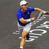 The Tennis Player Andy Murray paint by number