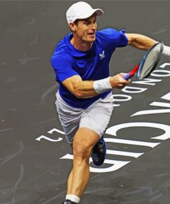 The Tennis Player Andy Murray paint by number