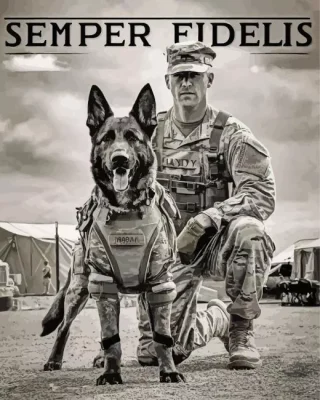 Semper Fidelis Paint By Numbers