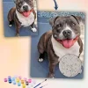 Painting By Numbers Custom​ Pets
