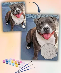 Painting By Numbers Custom​ Pets