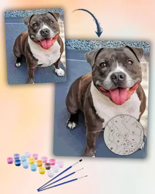 Painting By Numbers Custom​ Pets