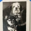 Painting By Numbers Custom​ Pets galler 1