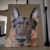 Painting By Numbers Custom​ Pets galler 2