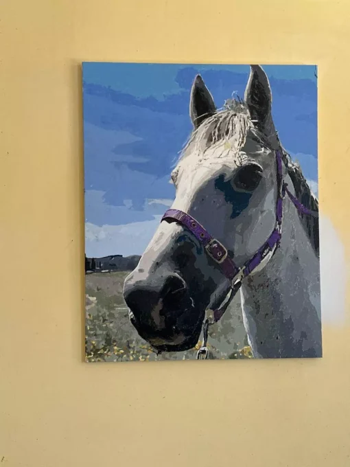 Painting By Numbers Custom​ Pets galler 3