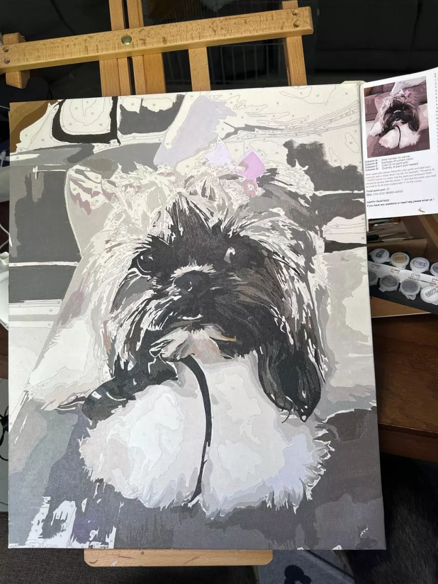Painting By Numbers Custom​ Pets rev 2