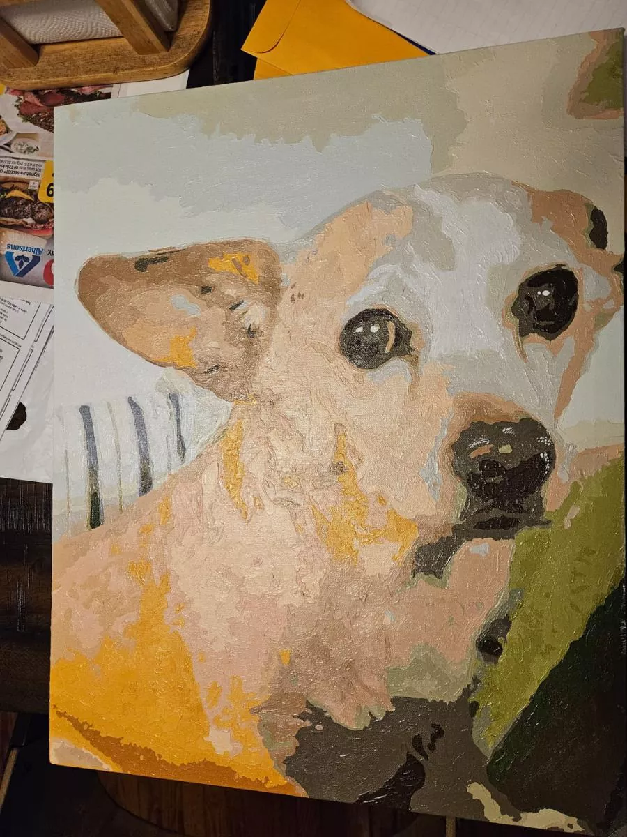 Painting By Numbers Custom​ Pets rev 3